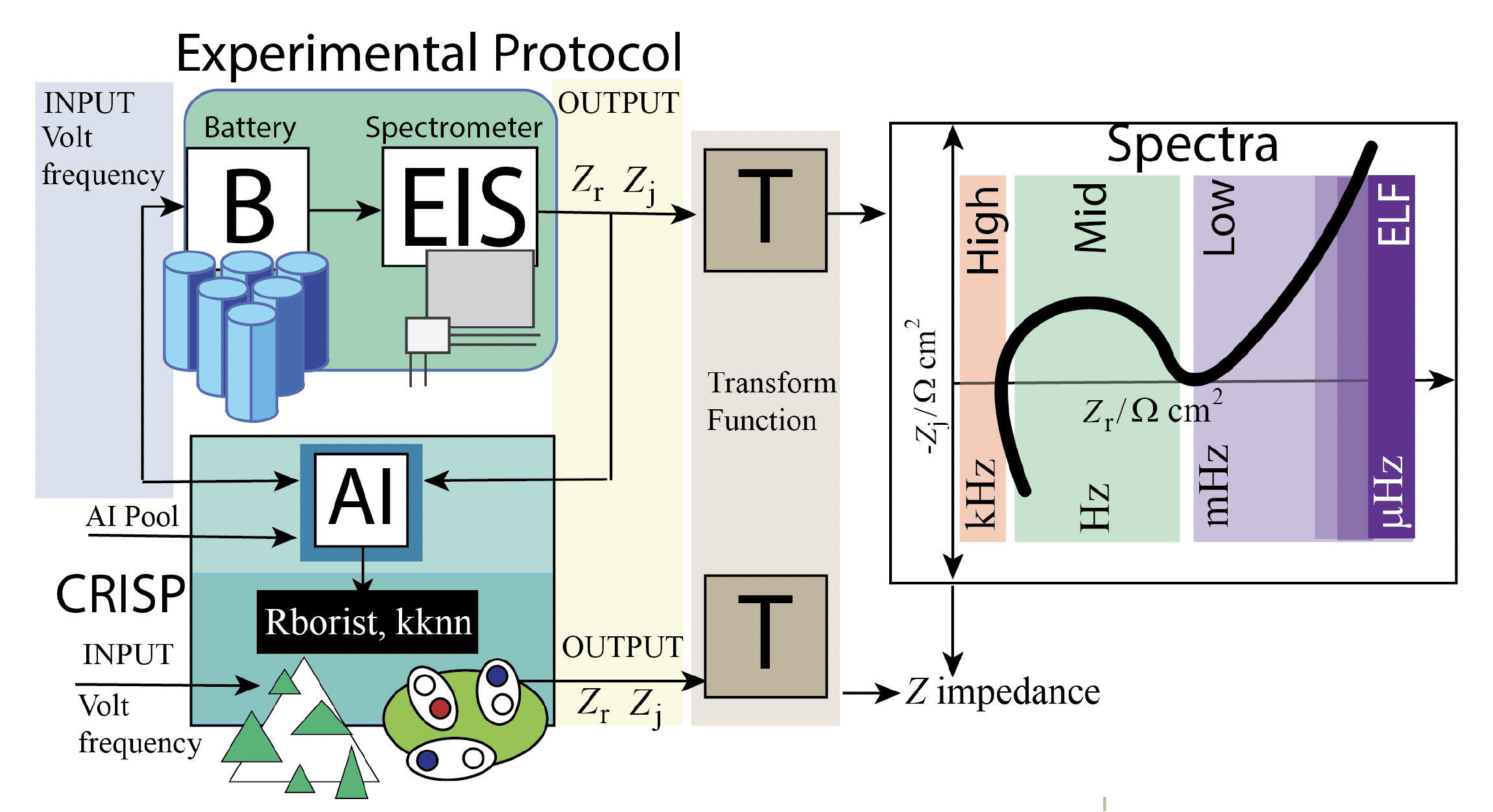 Impedance Spectroscopy 